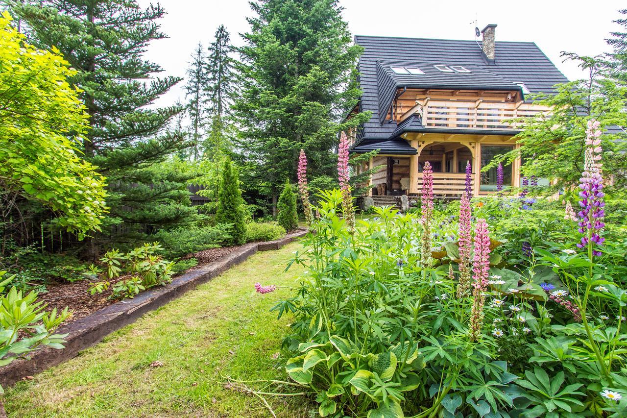 Apartamenty Bialy Potok Witów エクステリア 写真